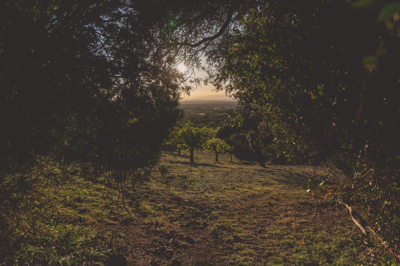 فندق Son Mesquida Vell ماناكور المظهر الخارجي الصورة