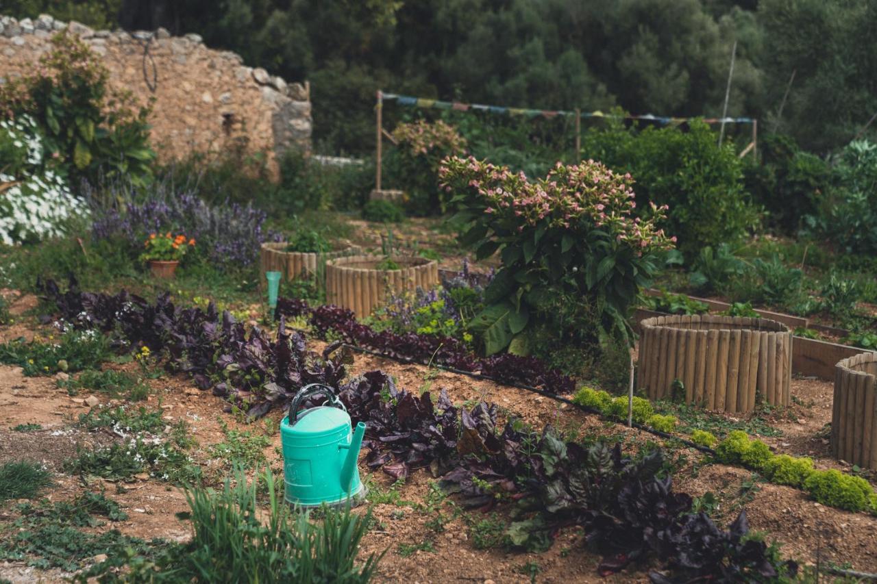 فندق Son Mesquida Vell ماناكور المظهر الخارجي الصورة